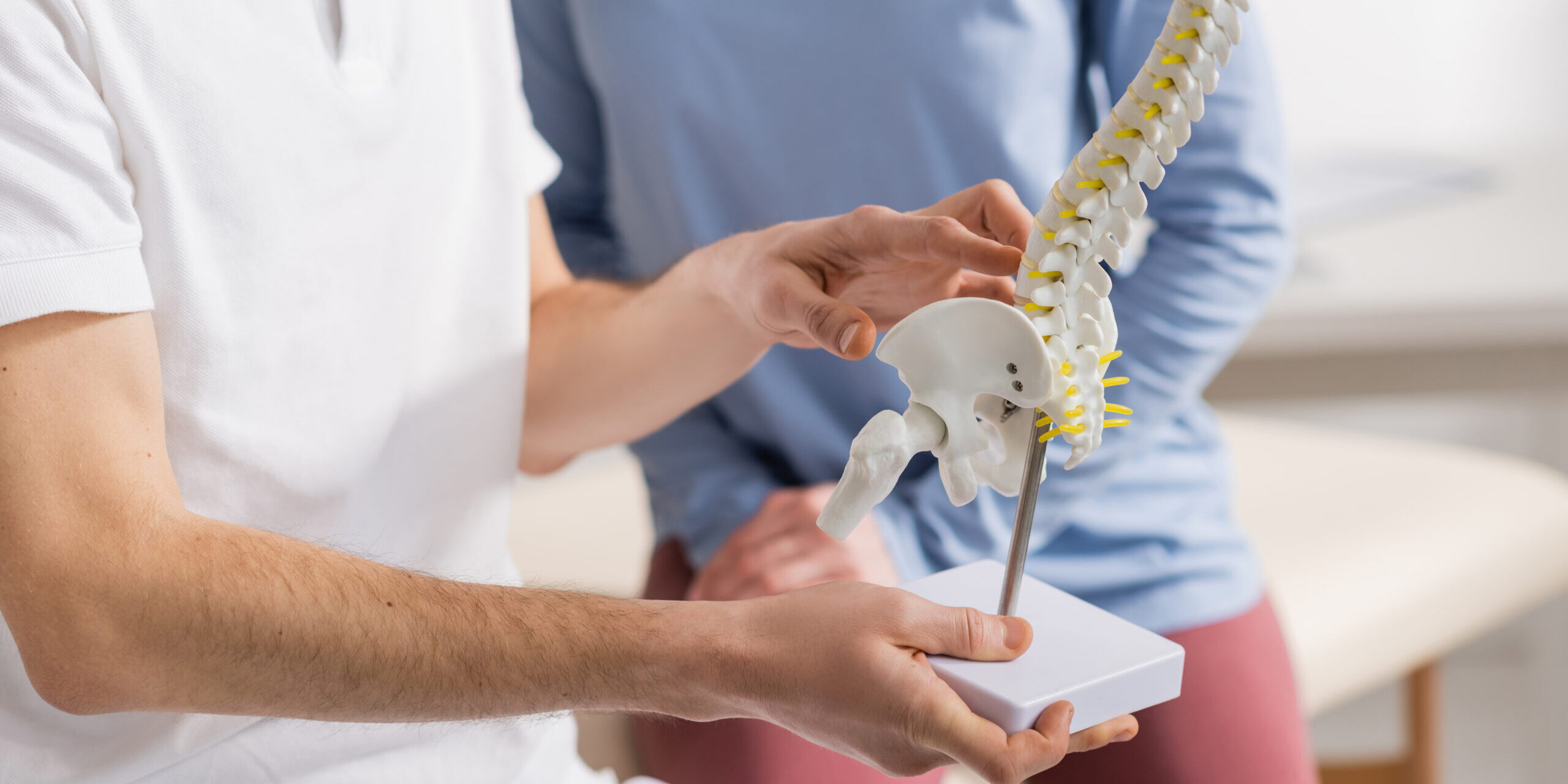 partial view of osteopath holding spine model near patient in rehabilitation center